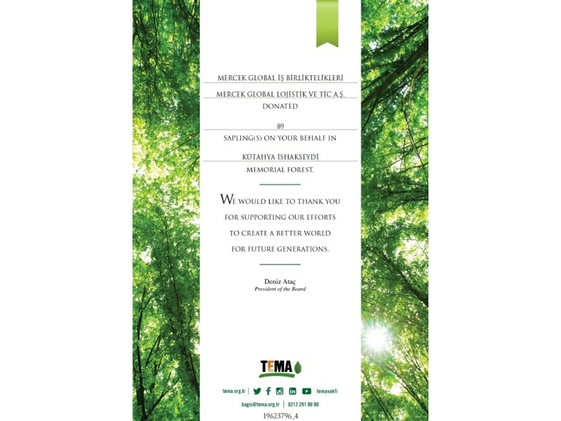 MERCEK GLOBAL LOJİSTİK AĞAÇ DİKME KAMPANYASI - 2024 İLK YARI